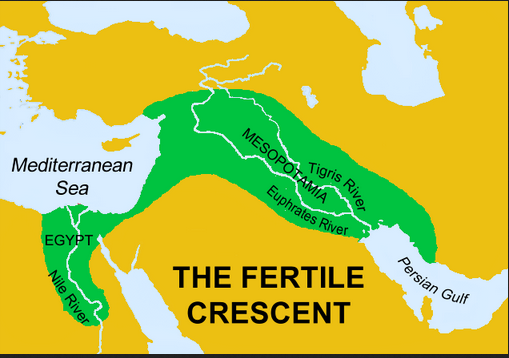 baby fertile crescent